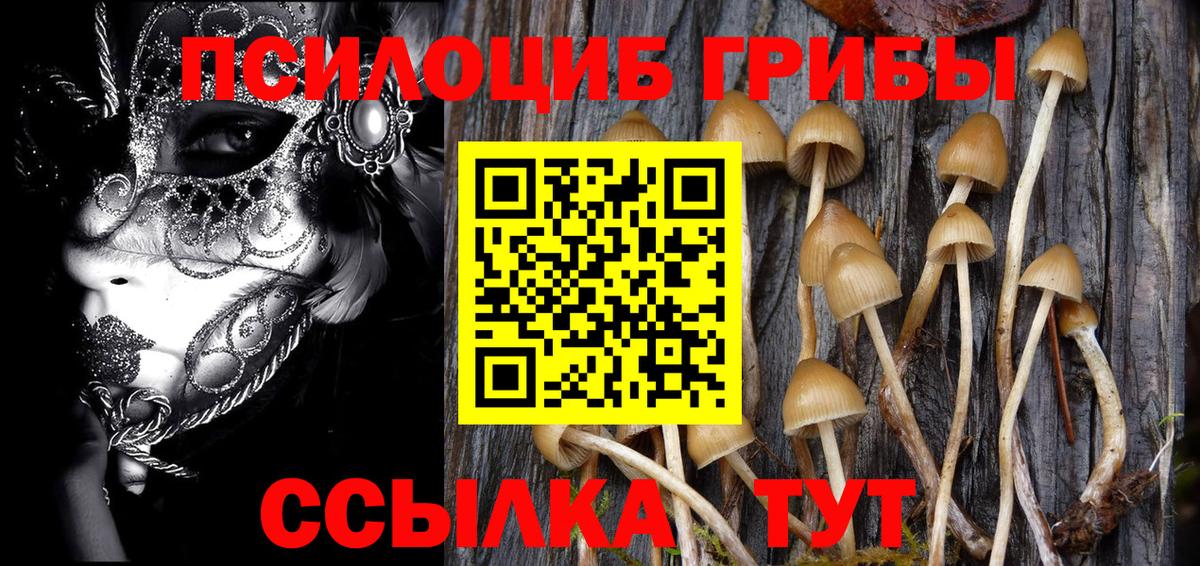 Галлюциногенные грибы Cubensis  Галлюциногенные грибы прущие грибы  Назарово  Вход с VPN 