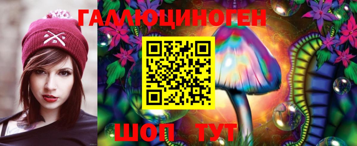 Галлюциногенные грибы Psilocybine cubensis Назарово